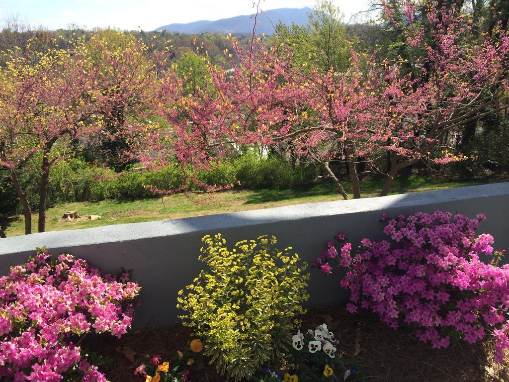 Biltmore Village Inn B&B Asheville Extérieur photo